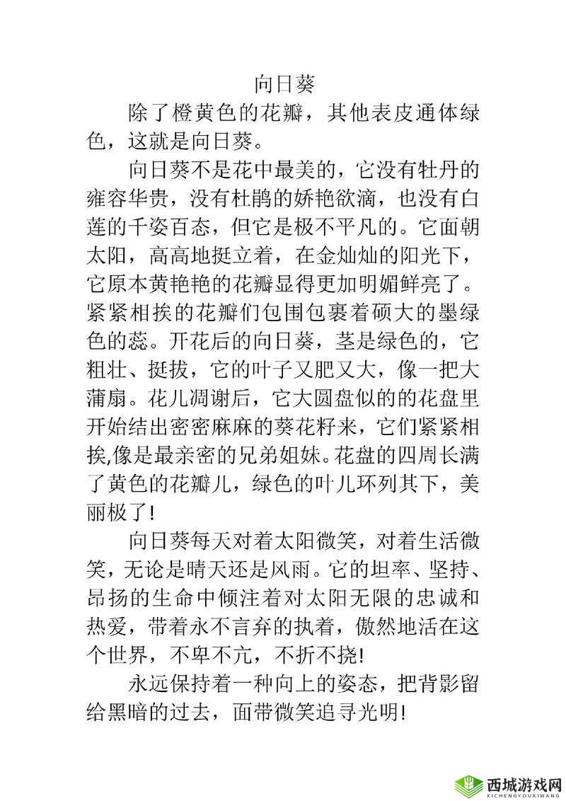 丝瓜草莓芭蕉向日葵的奇妙自然组合与故事