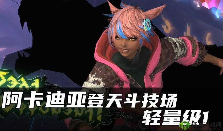 阿卡迪亚编队策略如何变迁？探索游戏系统攻略的演变史揭秘
